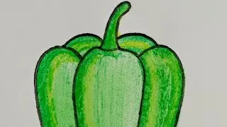 How to draw a capsicum step by step🫑 || Bell pepper art for beginners || Easy shimla mirch drawing
