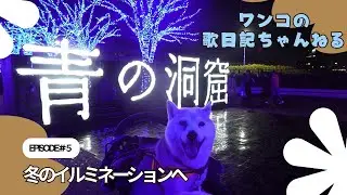 ＃５冬のイルミネーションへ　光のイルミネーションを見にお出かけしました。クリスマスへの思いも歌にこめています。