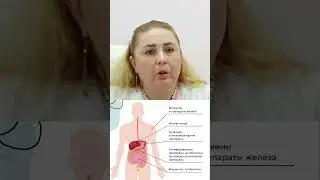 Лечение Панкреатита 💊 Как и чем лечат острый и хронический панкреатит