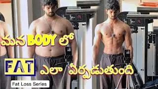 Body lo fat ela form avthundhii | తెలుగు లో 