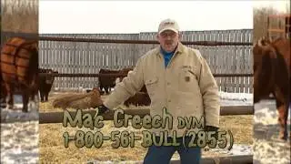 2015 Bulls for Commercial Cattlemen - Canada's Bulls - M.C. Quantock 16/37