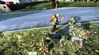 Welcome to DayZ!