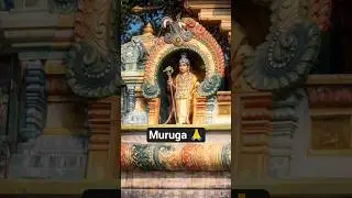 Muruga🙏#trending#viral #foryou#devotional#whatsappstatus#shorts#love#cute#ommuruga#murugan#shorts