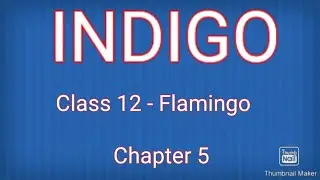 INDIGO|CLASS 12|CBSE|LESSON 5|