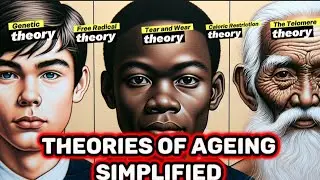 Theories of Ageing simplified.