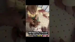 WWE Biggest love  of the world in the  ring twins they are loving twins 😂#familylove #funnymoments