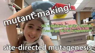 Site-Directed Mutagenesis: SLIC vs QuikChange, k&yacute; hiệu &ldquo;construct&rdquo;