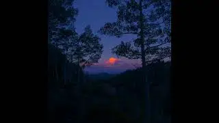 [FREE FOR PROFIT] Sad Type Beat -  
