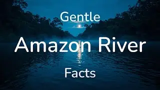 The Amazon River Explained Calmly | Gentle Facts to Fall Asleep To