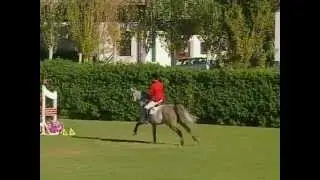 Juan Cortiguera&PRESINDRO.avi