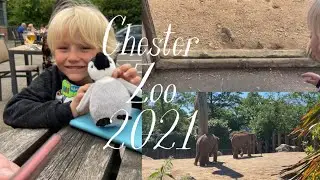Chester Zoo 2021 | Vlog UK
