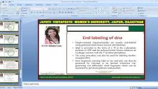 JAYOTI Vidyapeeth- Non Radioactive Labeling