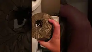reel toilet paper review I love this sustainable toilet paper