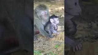 Mom Merri