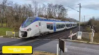 Récapitulatif du mois de Janvier:  Acheminement /TM/CMR/TER/FRET/TGV