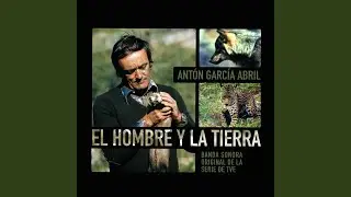 El Cojeo del Gamo: Fauna Ibérica