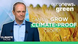 Can we grow climate change-resistant crops?