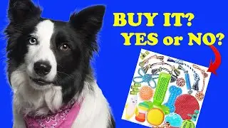 5 Must-Know TIPS for Choosing the BEST Dog Toys