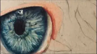 How to draw iris details 👁️#art #eyesdrawing