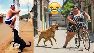 Crazy funniest videos ever in the world, Try not to laugh challenge part 52