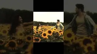 The sunflower 🌻 | #saiabhyankar #saanvemegghana #vizhiveekira #tamilsong #tamilove #tamiledits