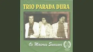 Vida Perdida
