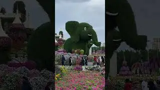 Dubai Miracle Garden_UAE