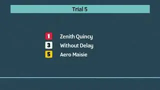 Monmore Greyhounds Trials on 3rd February 2026