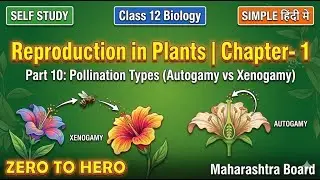 Plant Pollination Types Reproduction Plants Part 10