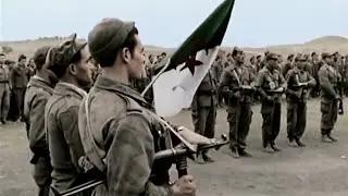 1 novembre 1954 - 2025 | 71 ANS APR&Egrave;S, L'HOMMAGE &Agrave; UNE GRANDE R&Eacute;VOLUTION