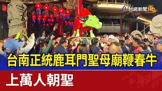 台南正統鹿耳門聖母廟鞭春牛 上萬人朝聖