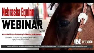 Equine Vaccinations & COVID-19 Resources