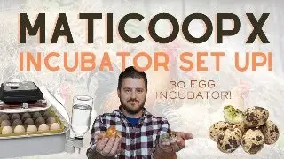 LIVE: Setting Up the Maticoopx Incubator for Coturnix Quail Eggs! 🥚🐣