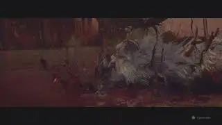 Лютый тигр VS Лютая Имба (читаем описание) WUCHANG  Fallen Feathers