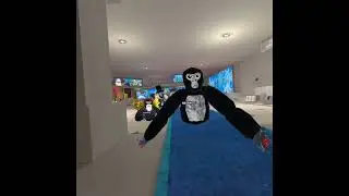 I met a really werid hacker on gorilla tag