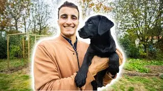 Mon Nouveau Chien : Talia ! La Rel&egrave;ve est l&agrave; !