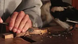 Simone Frabboni wood art - Interview