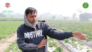 Straberi ki kheti wirh logo