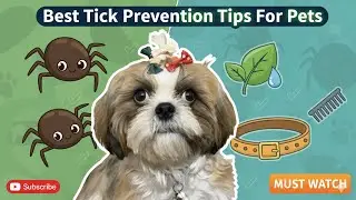Daily Vlog 217: Tick Prevention for Dogs in India 🇮🇳 | Spot On Treatment & Dog Shoes Unboxing