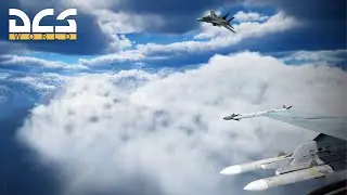 F-14 Vibe check on me | DCS World