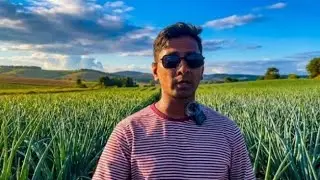 Jo Doctors Bhi Recommend Karte Hain |Green Onion Ka Power! Health Benefits | Health Ka Power House| 