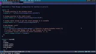 nixos home-manager get the latest software with the master branch