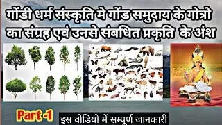 गोंड समुदाय के गोत्र नाम प्रकृति मे किस चीज से संबधित है ? जाने इस वीडियो मे