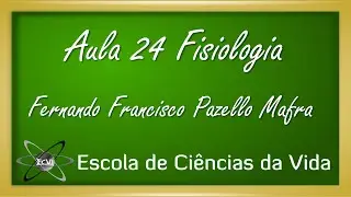 Fisiologia: Aula 24 - Sistema Circulatório - Débito cardíaco