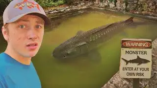Я нашёл заброшенный бассейн, полный гигантских рыб!