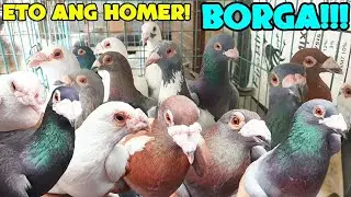 Akalain mong PURO BORGA pala to!