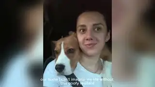 Watch This Rescued Beagle's Eyes Light Up When Love Finally Finds Her