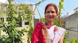 Aaj ki organic pudina ki harvesting #organicgardening #वायरलवीडियो 