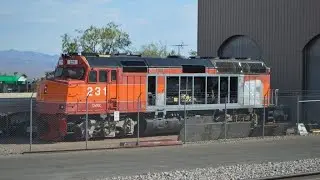 Amtrak/DYRX F40PHR unit 231 Tribute