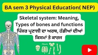 #BAsem3#SkeletalsystemMeaningTypesofbonesandfunctions#ਪਿੰਜਰਪ੍ਰਣਾਲੀਅਰਥਹੱਡੀਆਂਦੀਆਂਕਿਸਮਾਂਤੇਕਾਰਜ 